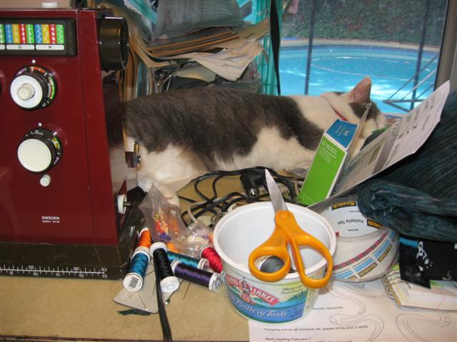 limbo apr 27 08