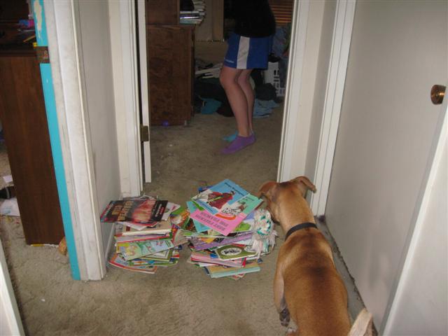 may 6 i books