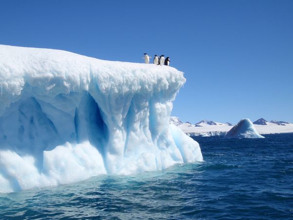 antarctica