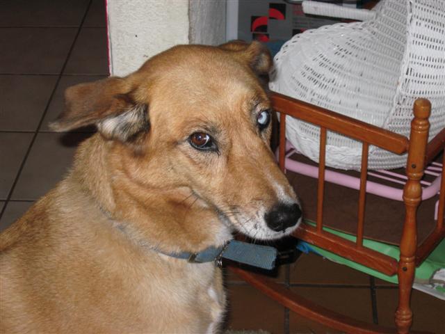 Missy 1 feb 23 08 (Small)