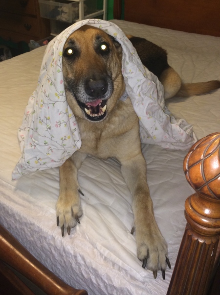 iPhone Feb 23 14 010 small