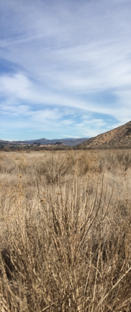 iPhone Feb 23 14 068 small