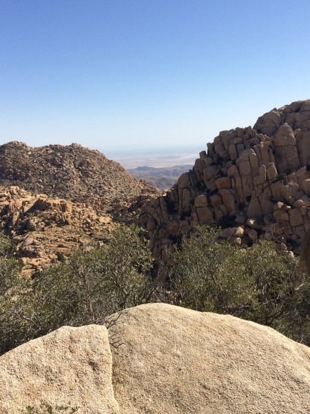 iPhone Mar 16 14 035 small