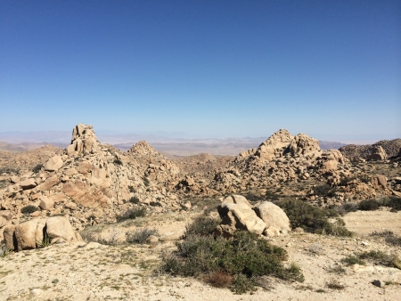 iPhone Mar 16 14 038 small