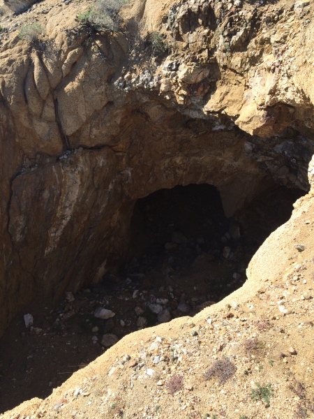 iPhone Mar 16 14 045 small