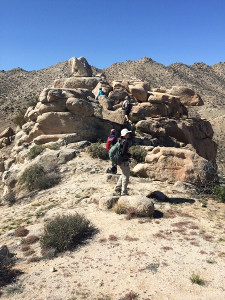 iPhone Mar 16 14 052 small