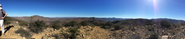 iPhone Mar 9 14 023 small