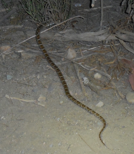 Aug 26 14 014 crop smal