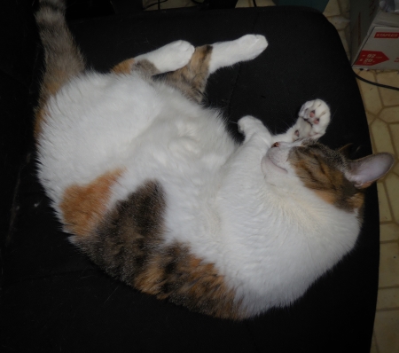 June 30 15 003 small