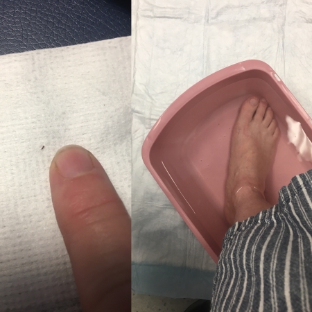 C733DAED-69EB-4ECF-8F2B-A2AE7ED26D81 small